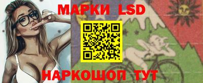 гидра Ставрополь