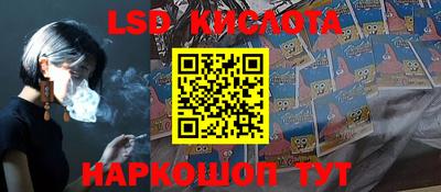 гидра Ставрополь