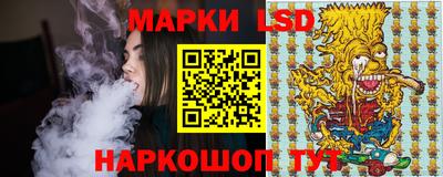 гидра Ставрополь