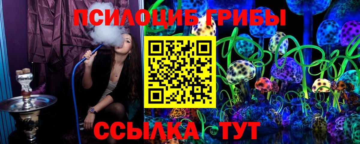 Псилоцибиновые грибы Magic Shrooms  Вход с VPN  Баксан  Псилоцибиновые грибы Psilocybine cubensis 